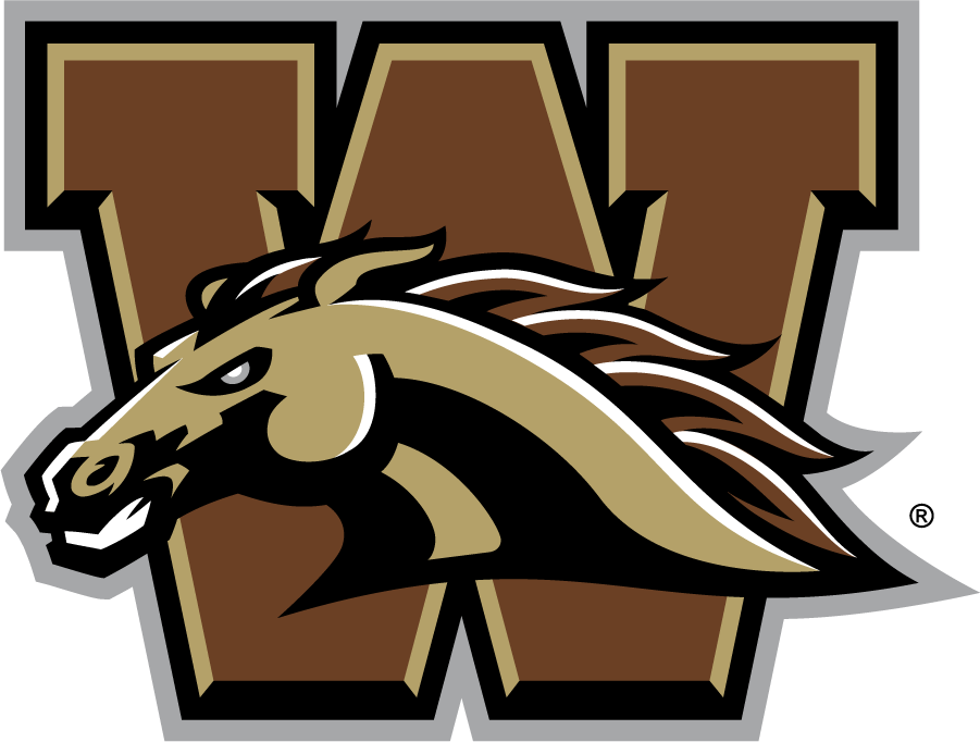 Western Michigan Broncos 2016-2021 Primary Logo iron on transfers for clothing
